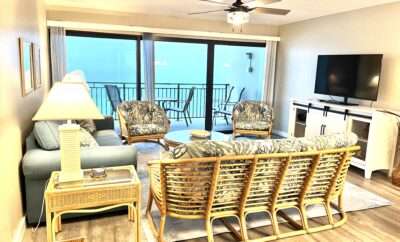 🐶 The Salty Dog Suite